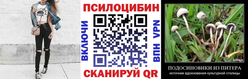 Купить где  Калтан  Псилоцибиновые грибы Magic Shrooms 